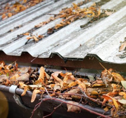 Expert Gutter Cleaning Near Me for a Cleaner, Safer Home