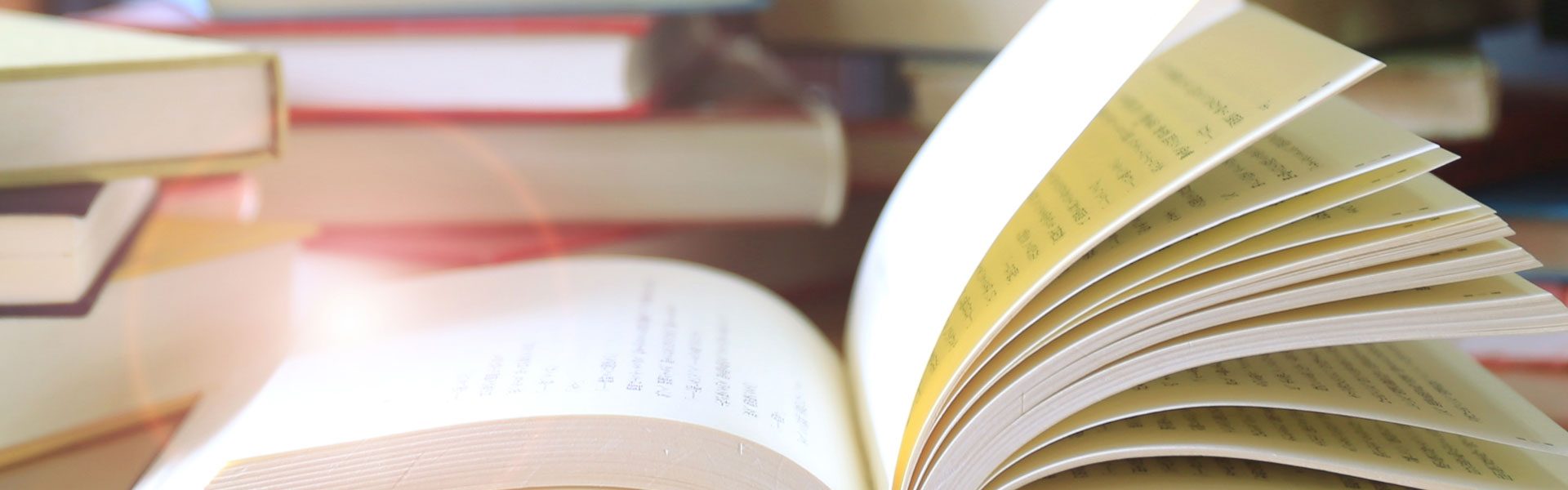 Endless Pages Exploring Books that Transport You to New Worlds