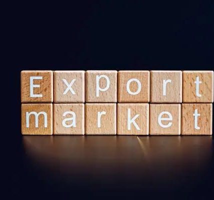 Does social trading on Pocket Option support Slovenian users?
