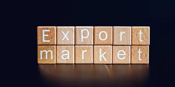 Does social trading on Pocket Option support Slovenian users?